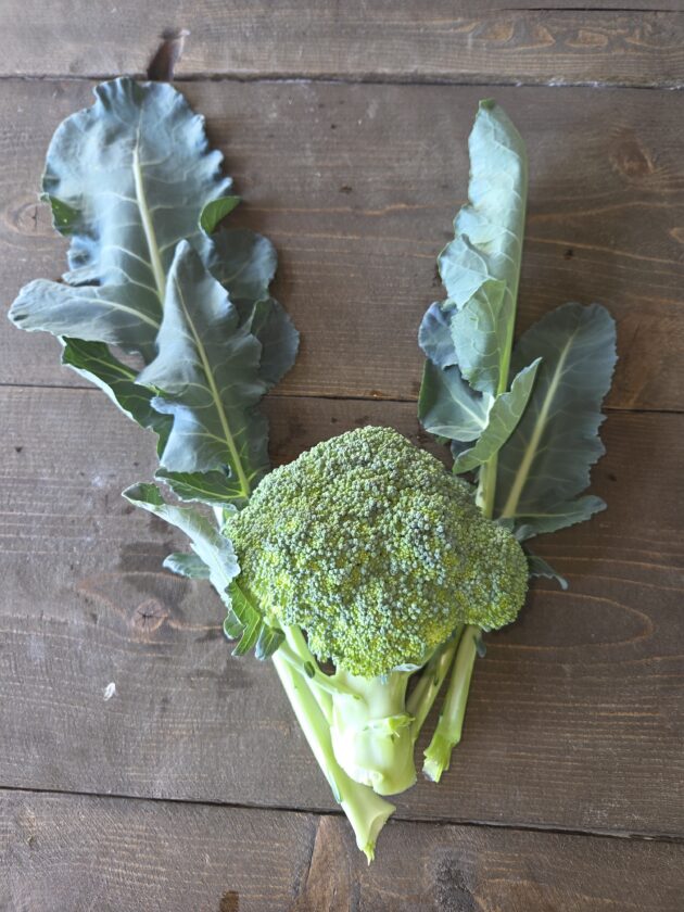 Brokkoli (300 g)