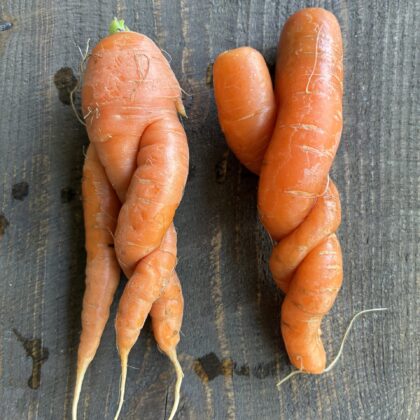Sárgarépa (500 g)