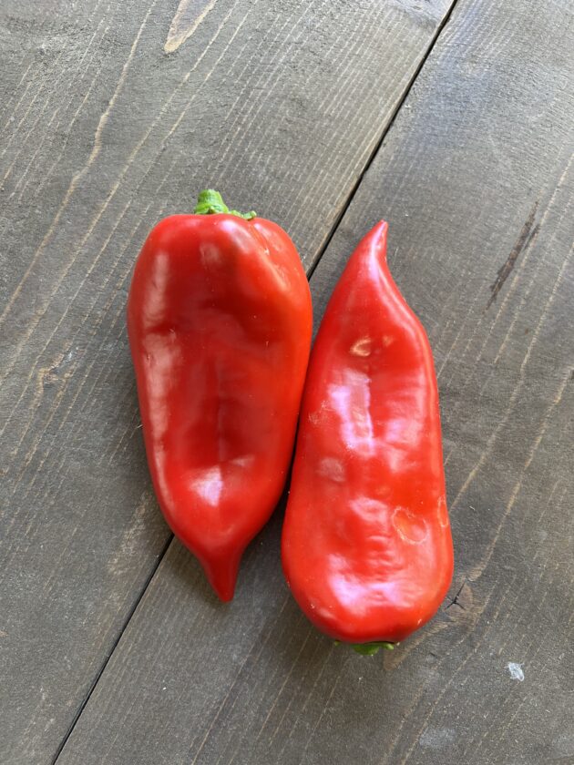 Piros Kápia paprika KG